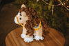 Horse ponny crochet pattern